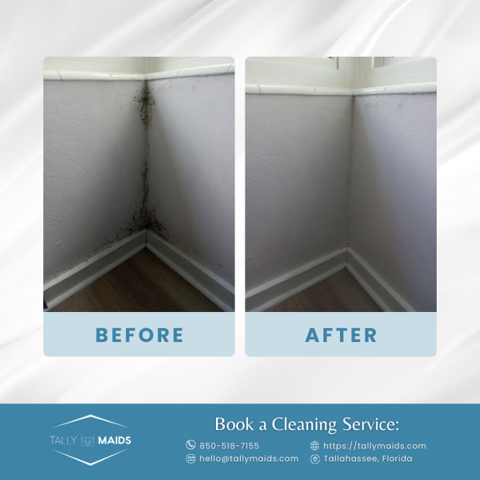 Tally Maids - Tallahassee, FL