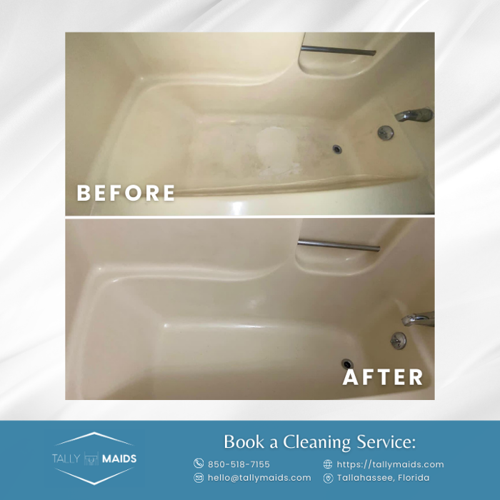 Tally Maids - Tallahassee, FL