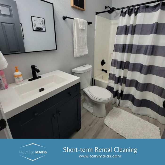 Tally Maids - Tallahassee, FL