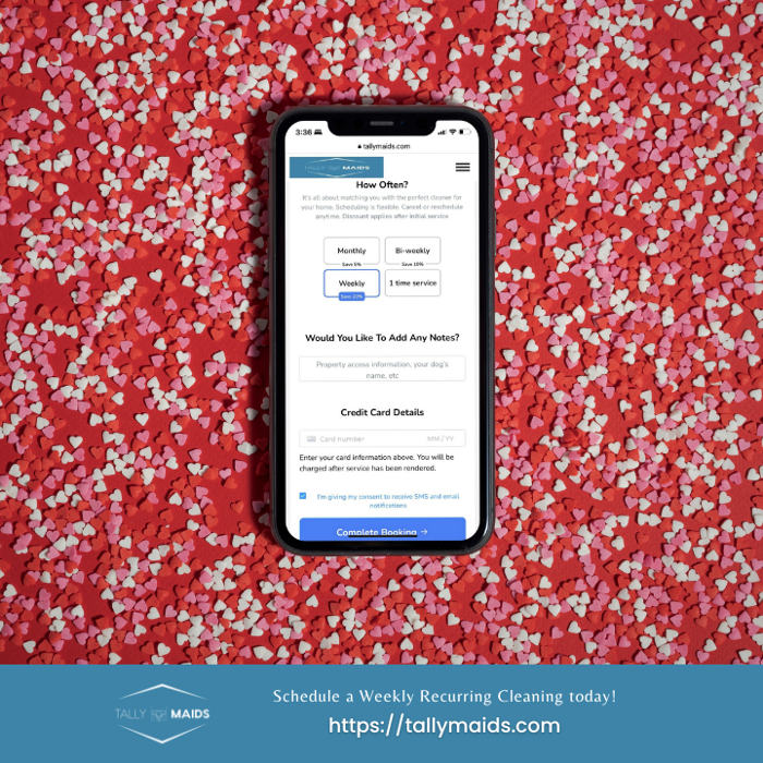 Tally Maids - Tallahassee, FL