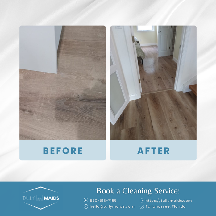 Tally Maids - Tallahassee, FL