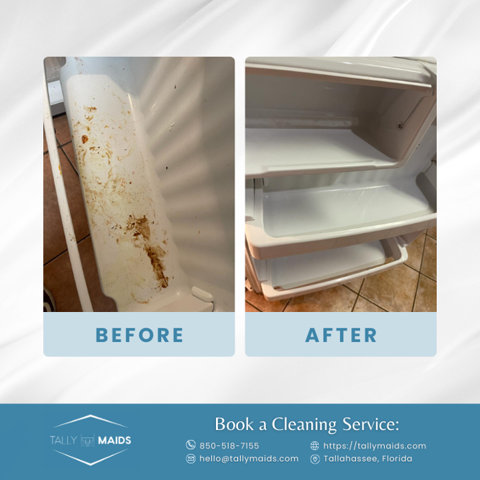 Tally Maids - Tallahassee, FL