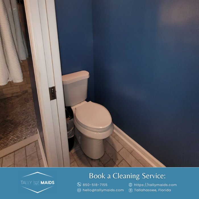 Tally Maids - Tallahassee, FL