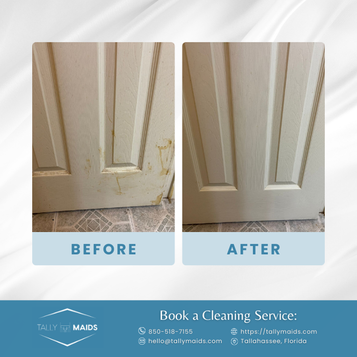 Tally Maids - Tallahassee, FL