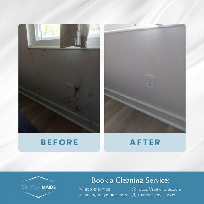 Tally Maids - Tallahassee, FL