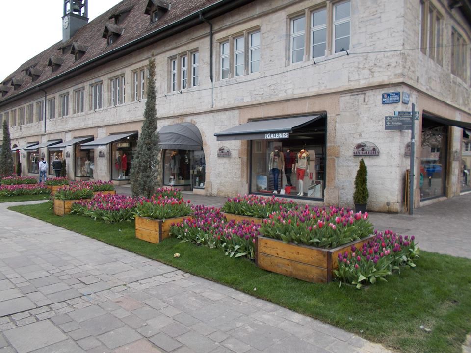 galerie image