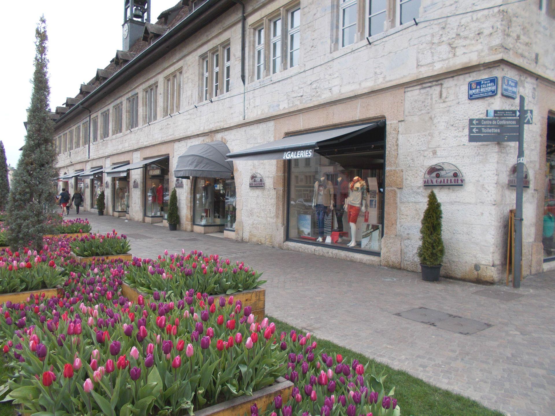 galerie image