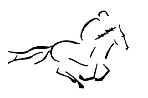 Flourens Equitation centre équestre, équitation