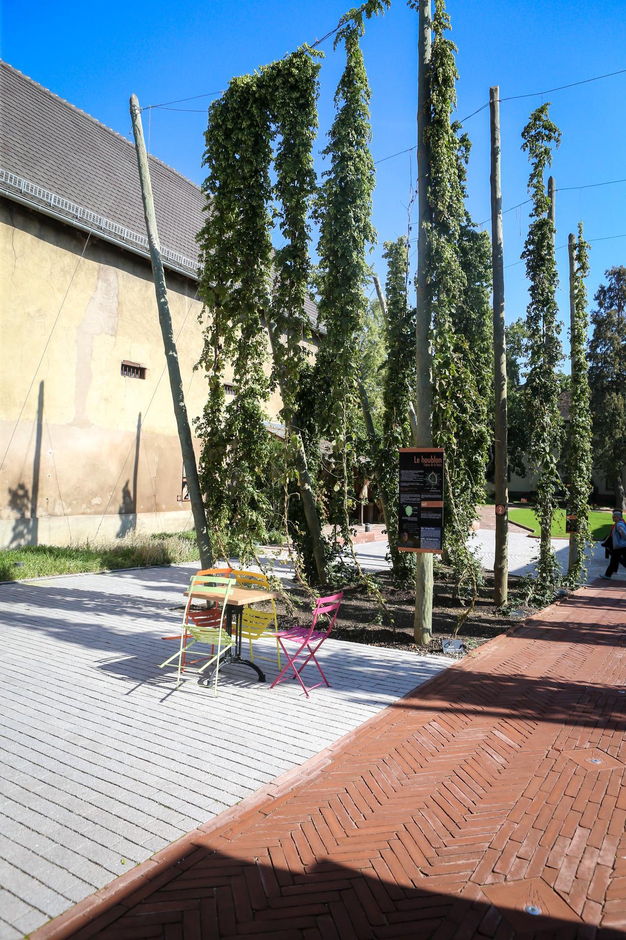 galerie image