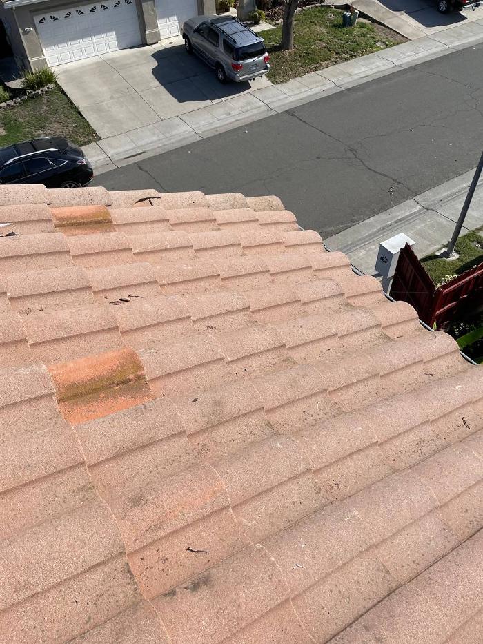 Spring Roofing Inc. Image