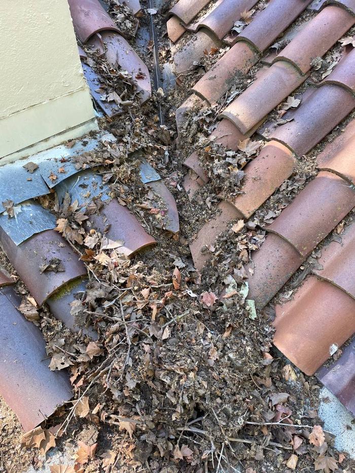 Spring Roofing Inc. Image