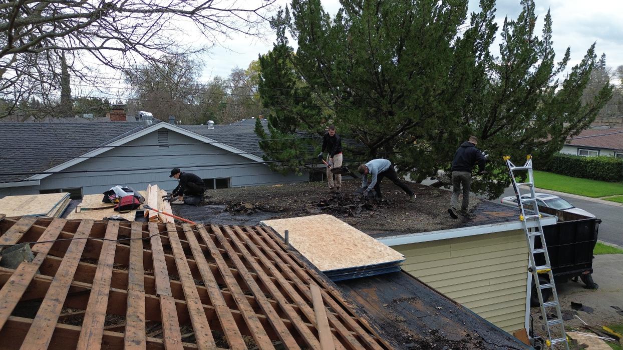 Spring Roofing Inc. Image