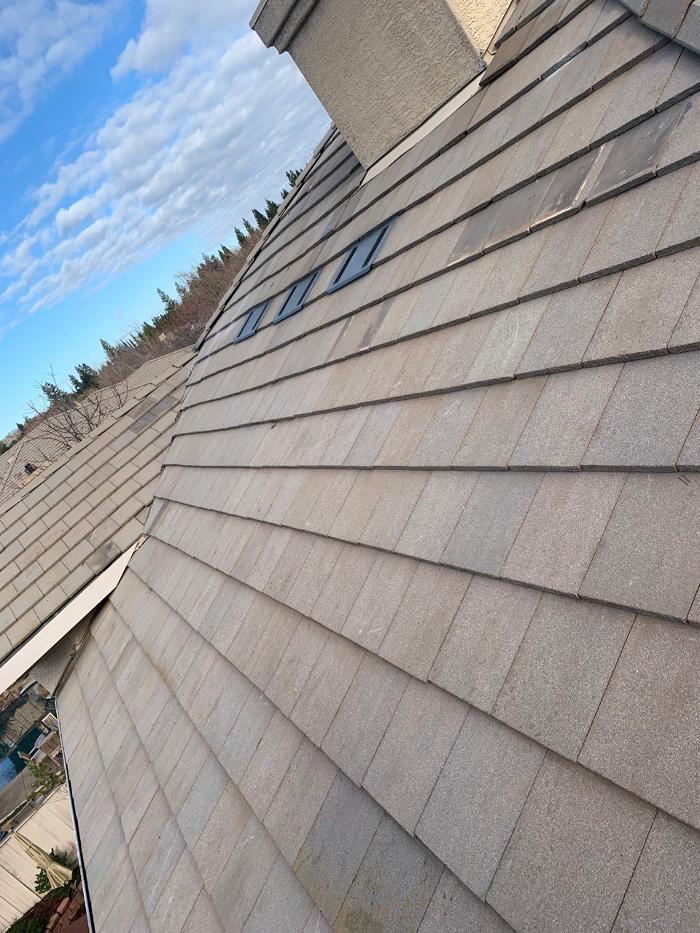 Spring Roofing Inc. Image