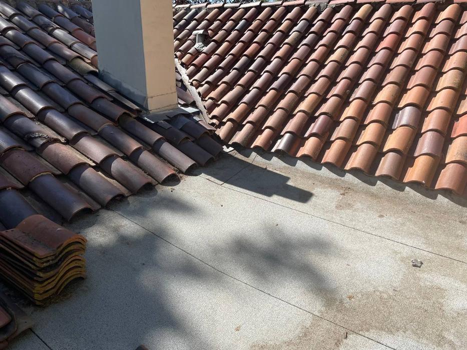 Spring Roofing Inc. Image