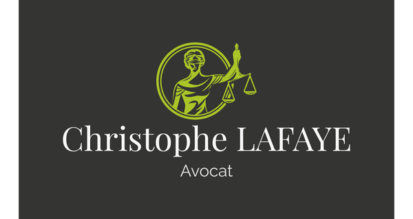 Christophe Lafaye avocat