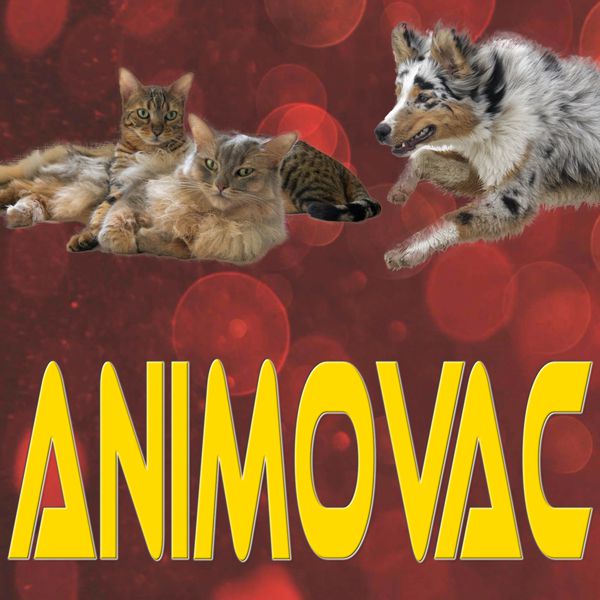 Animovac
