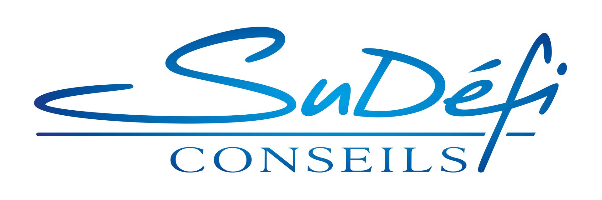Sudefi Conseils