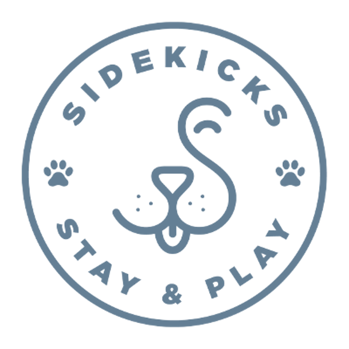 Sidekicks Stay & Play - Amarillo, TX Image