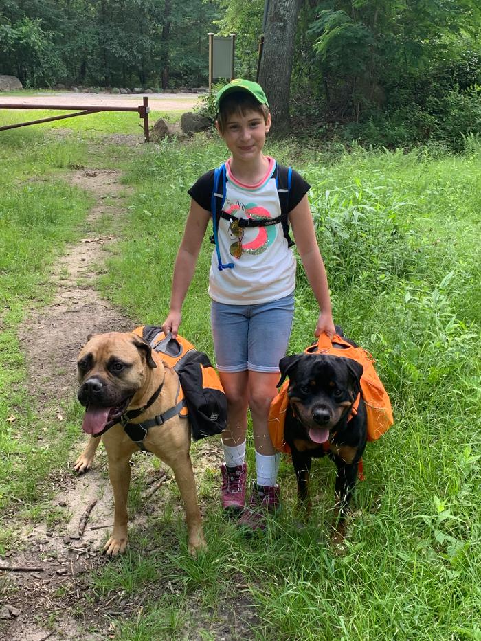 Canine Behavioral Services Inc. Image