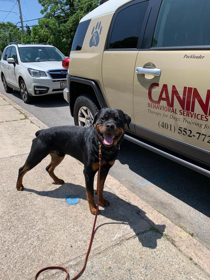 Canine Behavioral Services Inc. Image