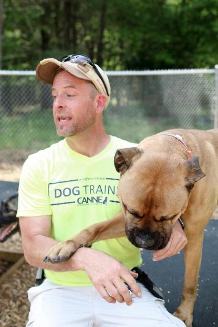 Canine Behavioral Services Inc. Image