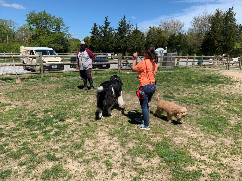 Canine Behavioral Services Inc. Image