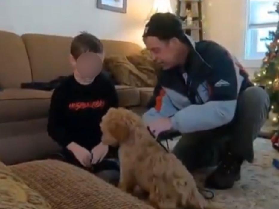 Canine Behavioral Services Inc. Image