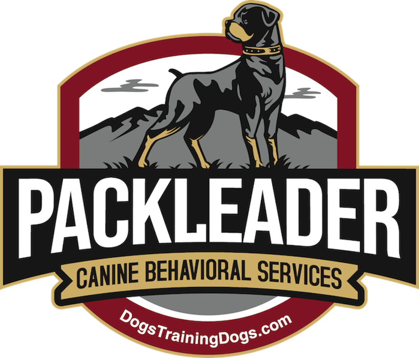 Canine Behavioral Services Inc. Image