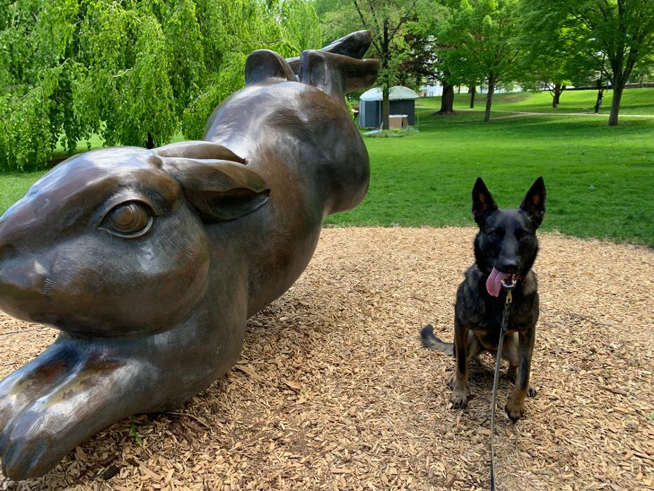 Canine Behavioral Services Inc. Image