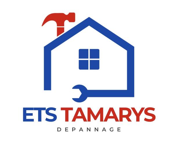 ETS Tamarys Expert
