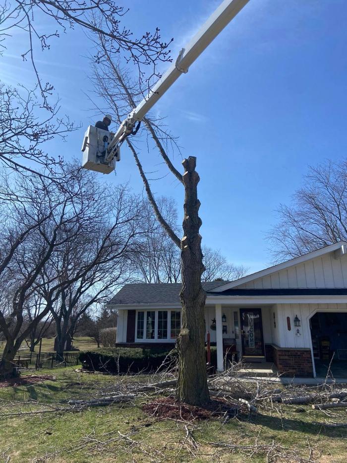 Cutting Edge Tree Service LLC Image