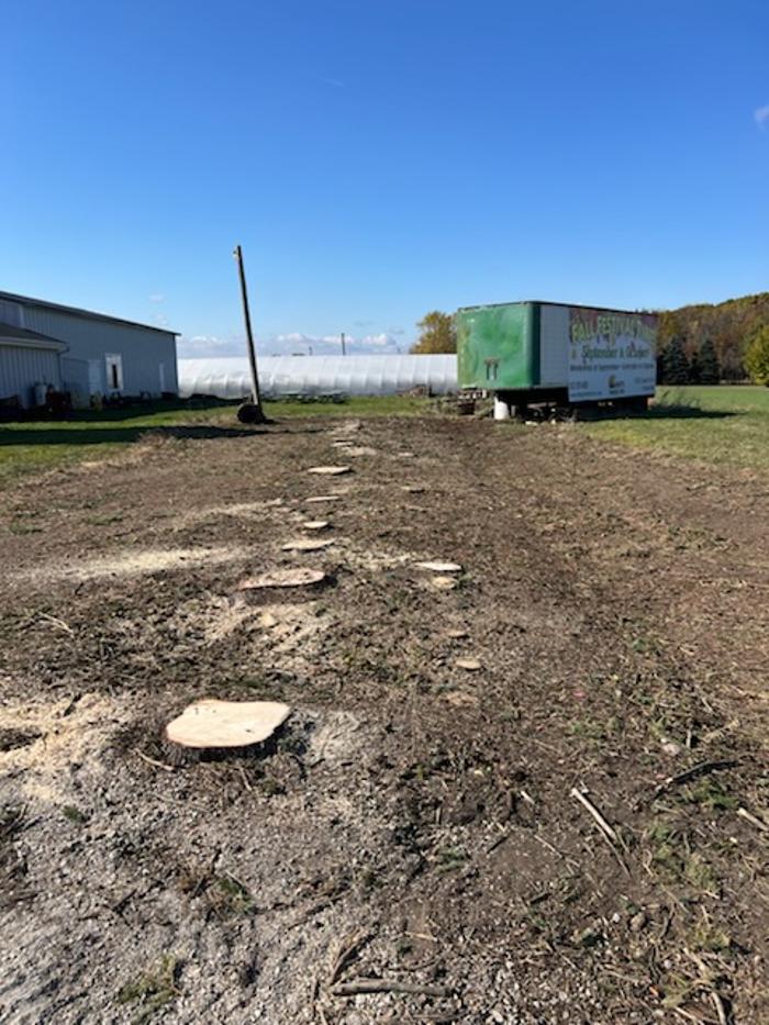 Cutting Edge Tree Service LLC Image