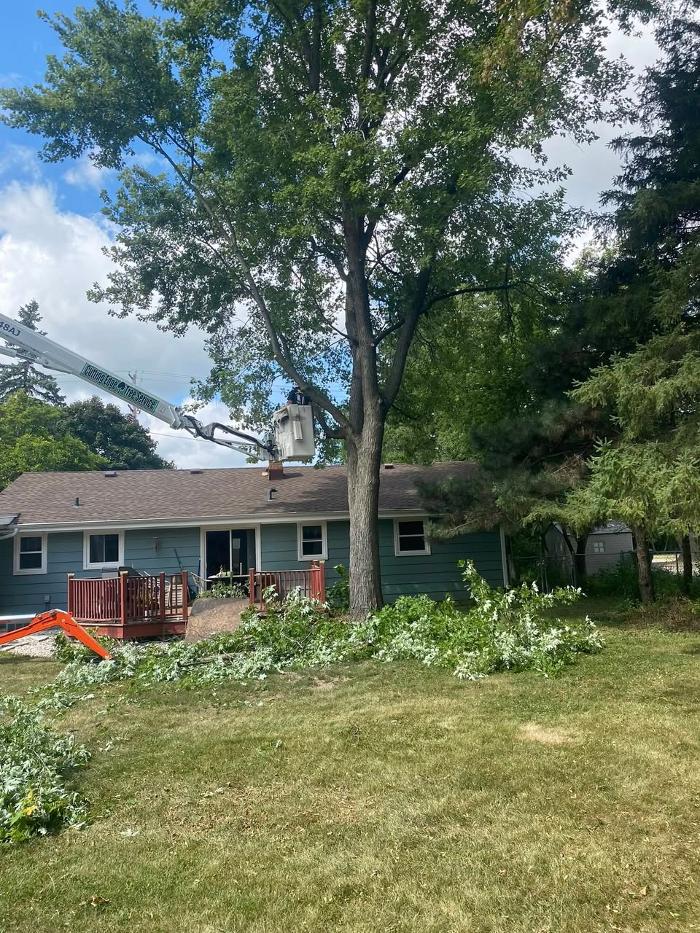 Cutting Edge Tree Service LLC Image