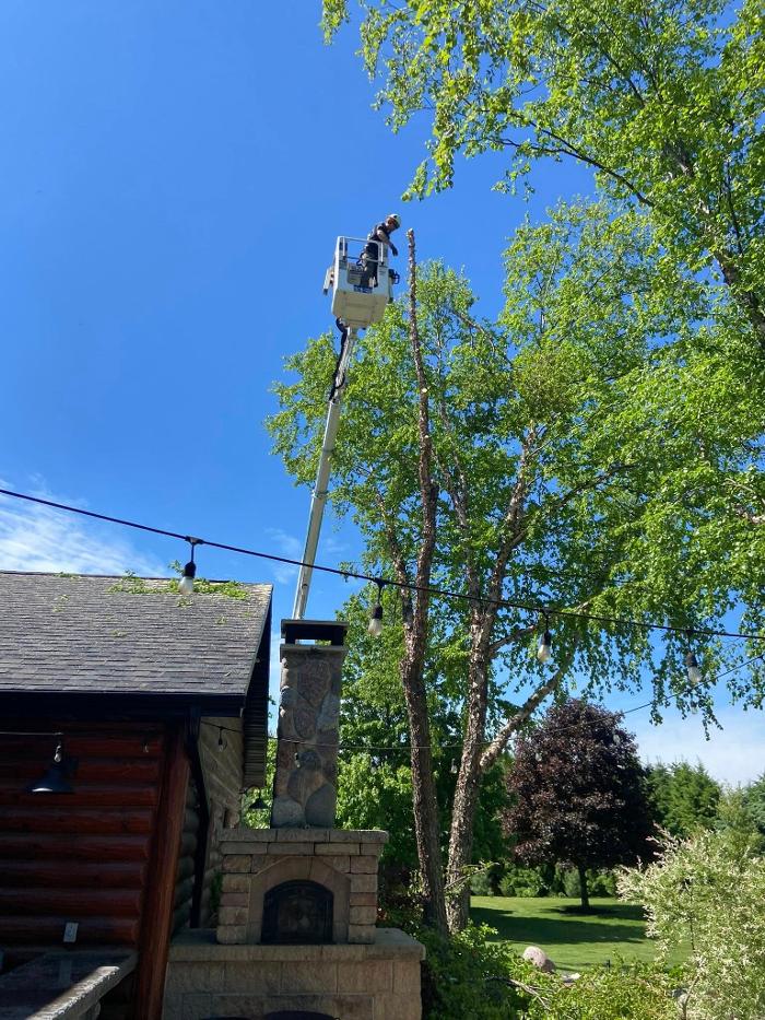 Cutting Edge Tree Service LLC Image