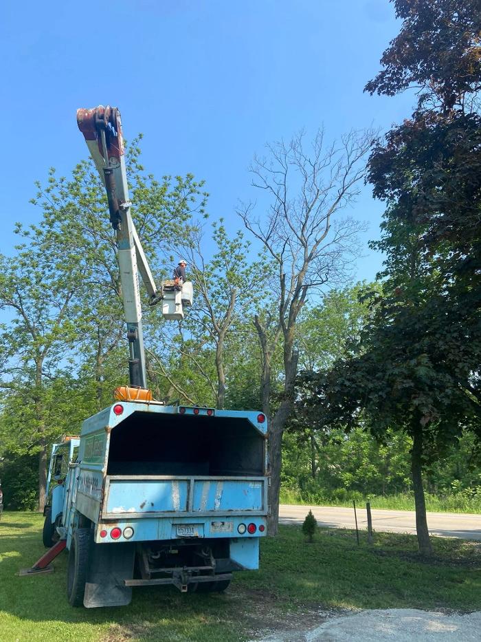 Cutting Edge Tree Service LLC Image