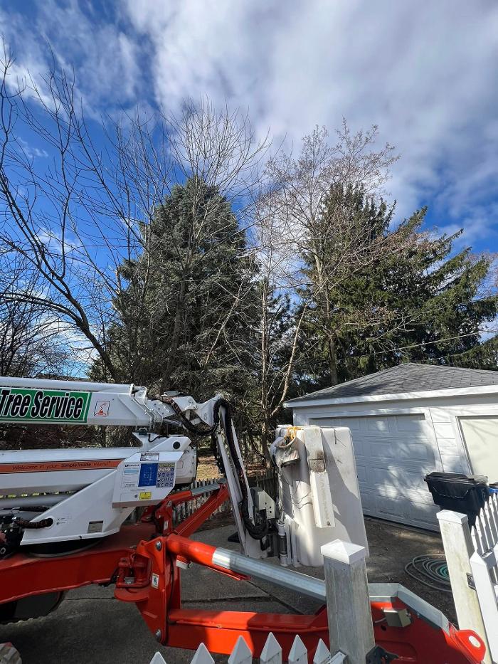 Cutting Edge Tree Service LLC Image