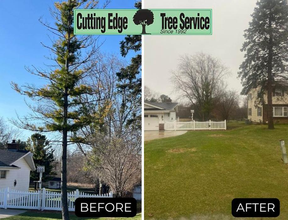 Cutting Edge Tree Service LLC Image