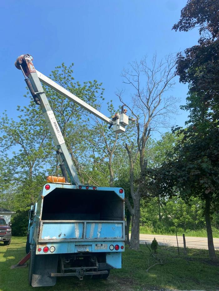 Cutting Edge Tree Service LLC Image