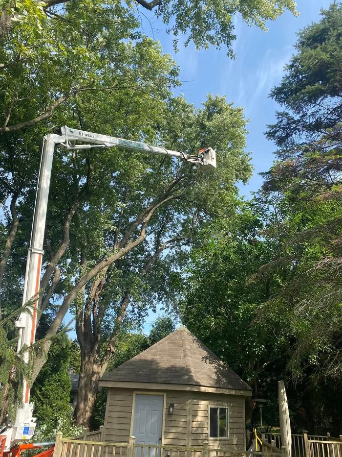 Cutting Edge Tree Service LLC Image