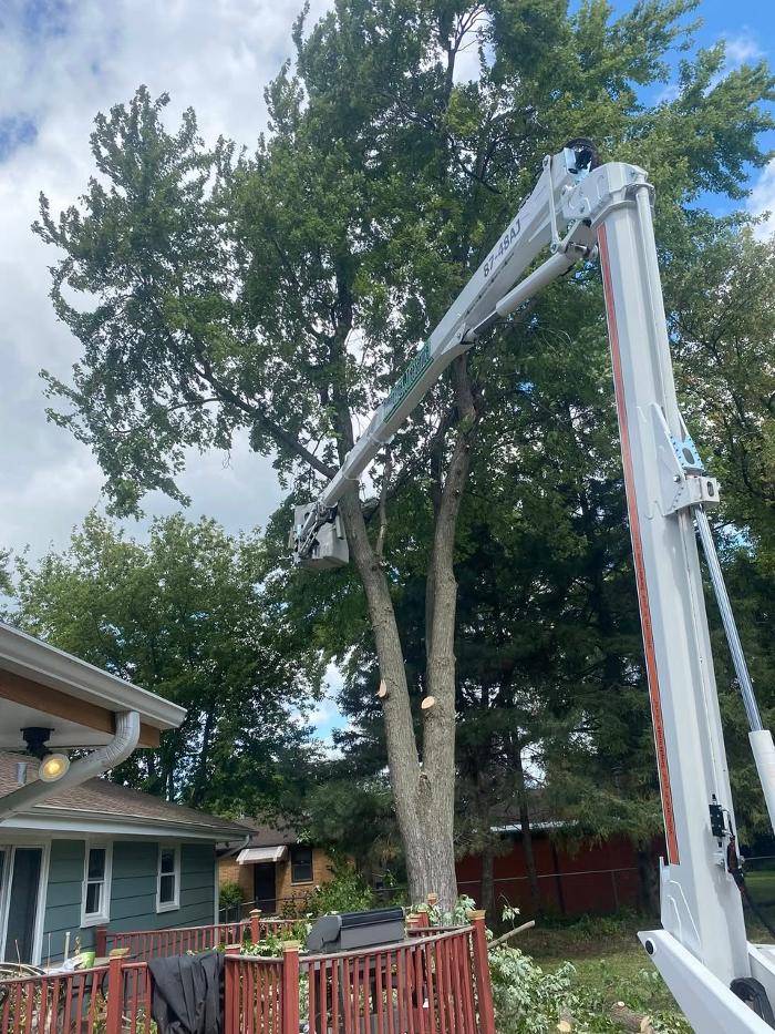 Cutting Edge Tree Service LLC Image