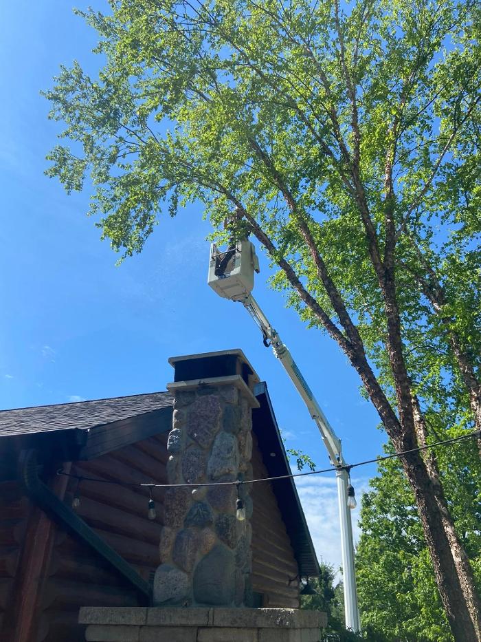 Cutting Edge Tree Service LLC Image