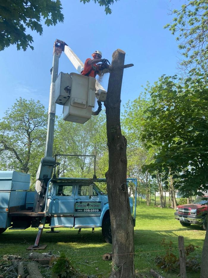 Cutting Edge Tree Service LLC Image