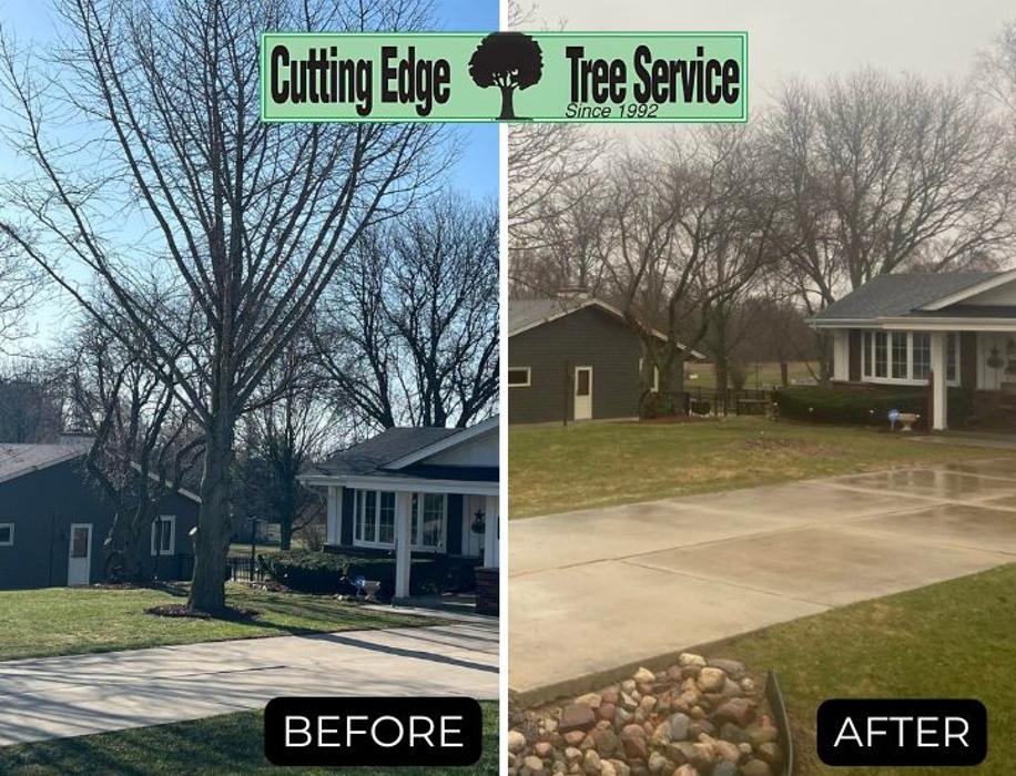 Cutting Edge Tree Service LLC Image