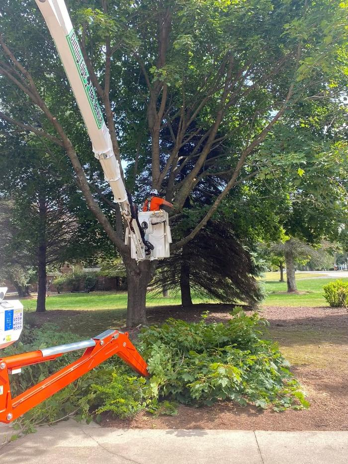 Cutting Edge Tree Service LLC Image