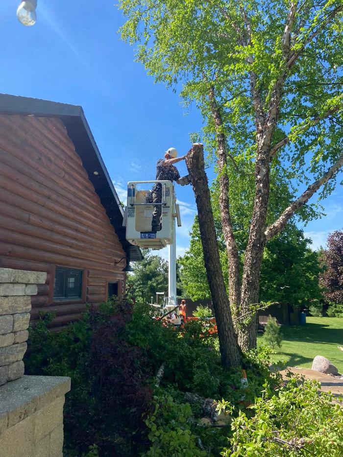 Cutting Edge Tree Service LLC Image