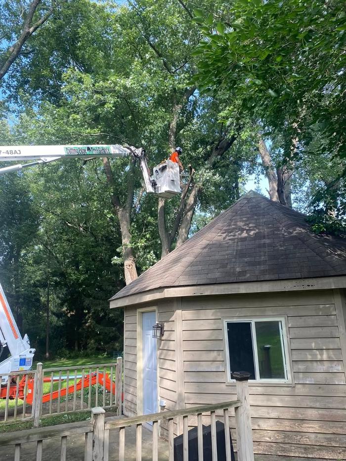 Cutting Edge Tree Service LLC Image