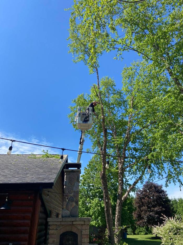 Cutting Edge Tree Service LLC Image