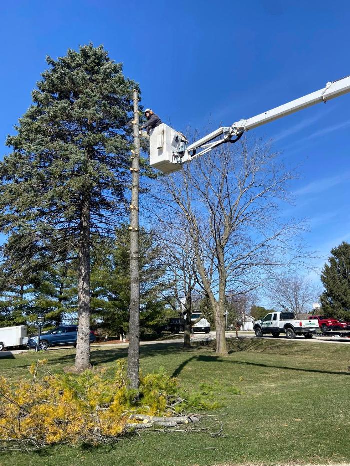 Cutting Edge Tree Service LLC Image