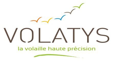 Volatys