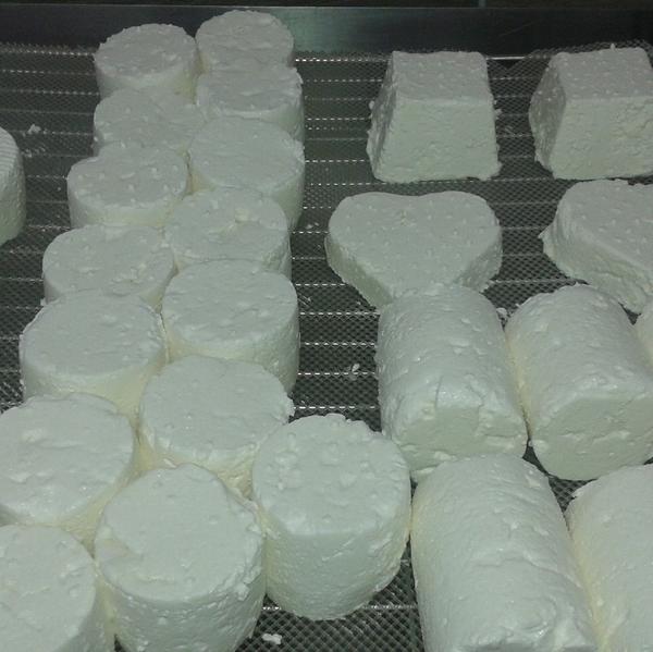 Chèvrerie du Mont de Fuans Fabrication et commerce de gros